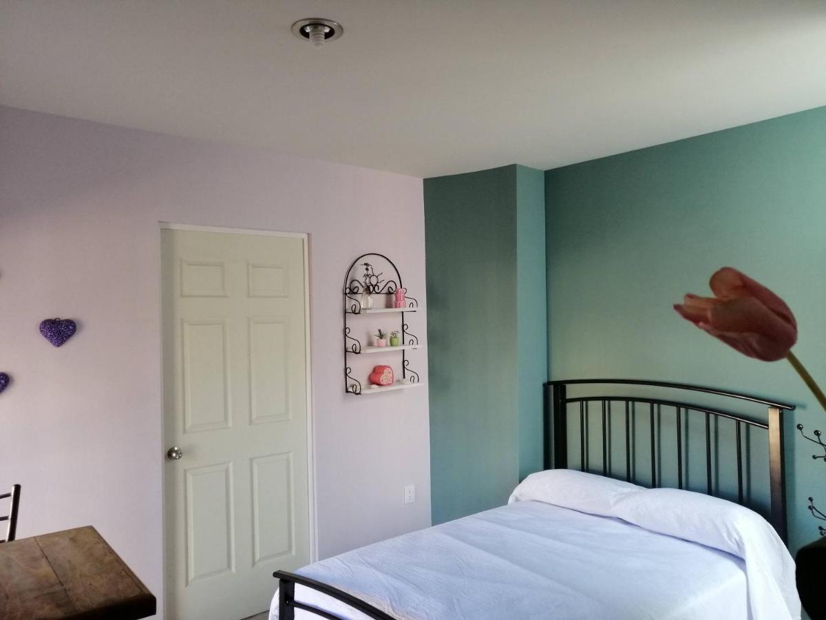 Casa Nikte Appartamento Zacatecas Esterno foto